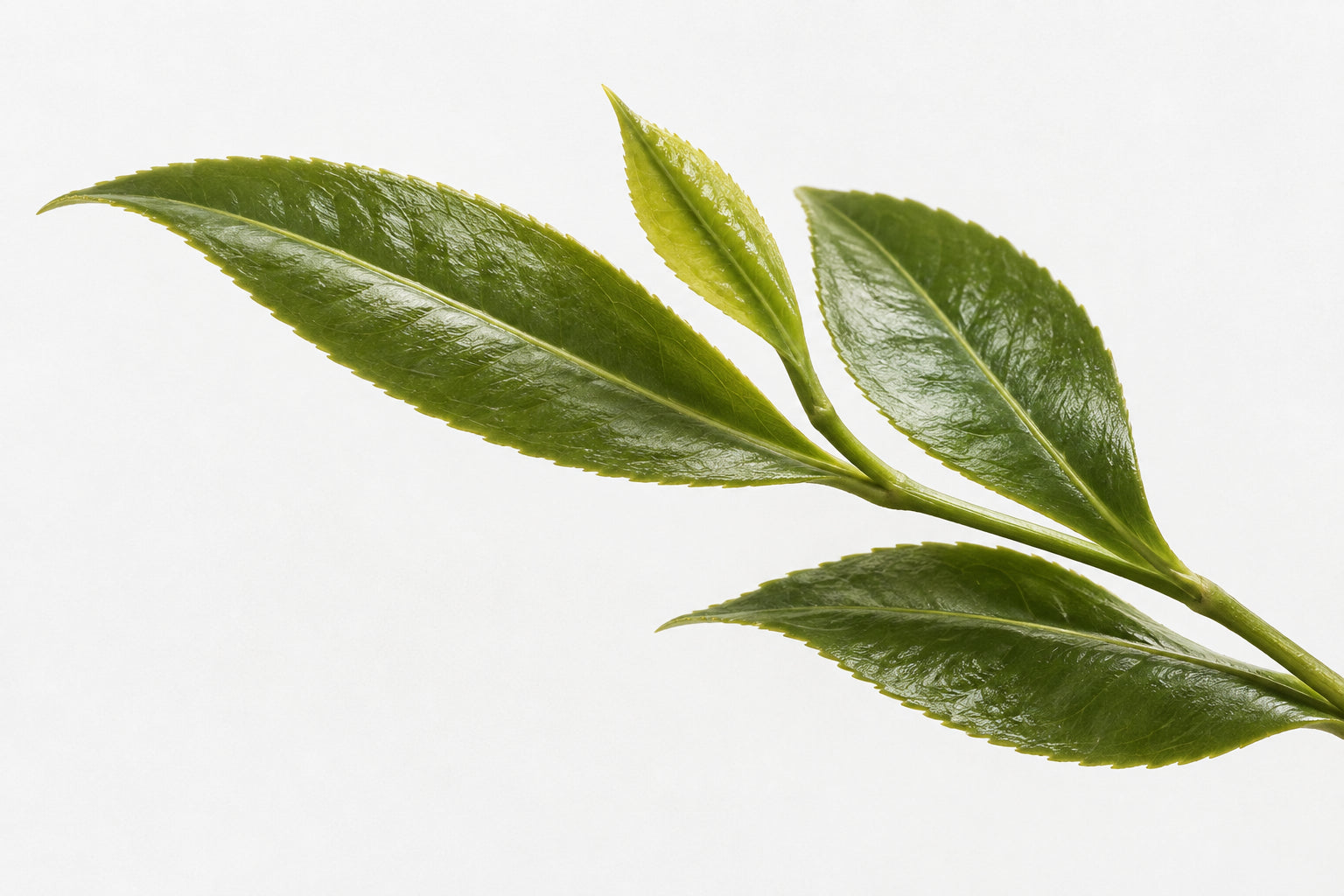 Allergies, Eye Rubbing & Dark Circles: Understanding Allergic Shiners