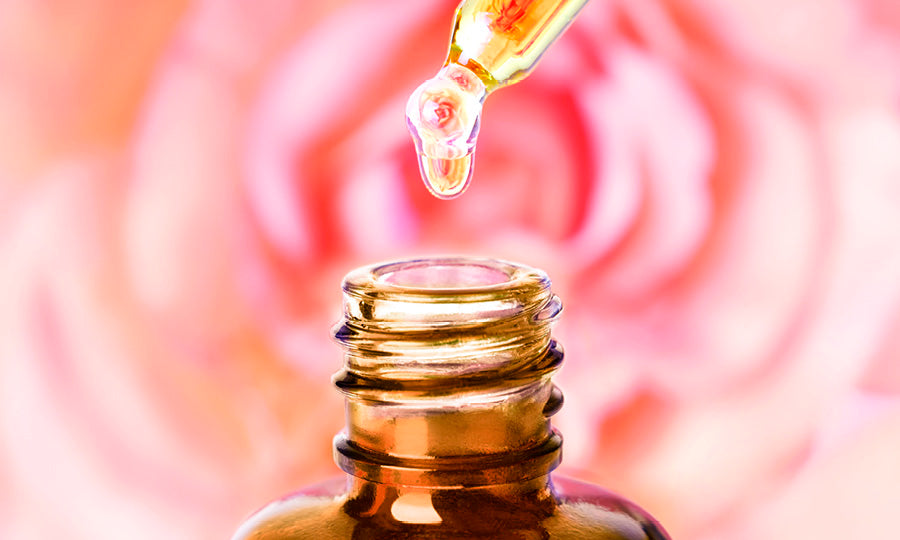 Rose vs. Rosehip: Differences, Benefits, and Uses