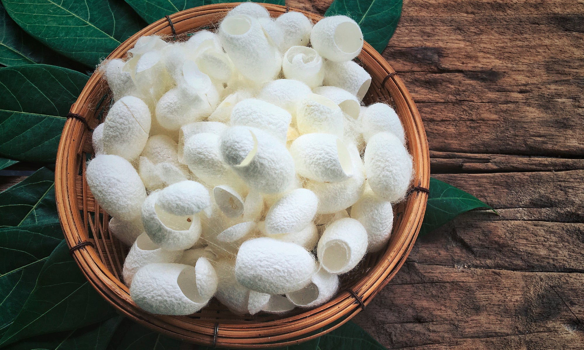 All the Amazing Skincare Benefits of Silk Proteins