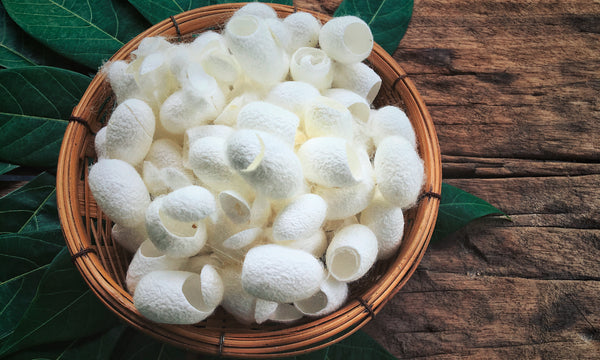 https://www.herbaldynamicsbeauty.com/cdn/shop/articles/Skincare_Benefits_of_Silk_Proteins_600x.jpg?v=1597596905&utm_source=chatgpt.com