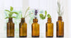 A Guide to the Best Essential Oils for Skin & How to Use Them