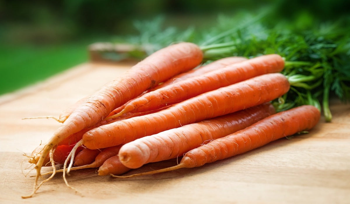 Carrot Extract Benefits For Skin (Secrets You Didn't Know)