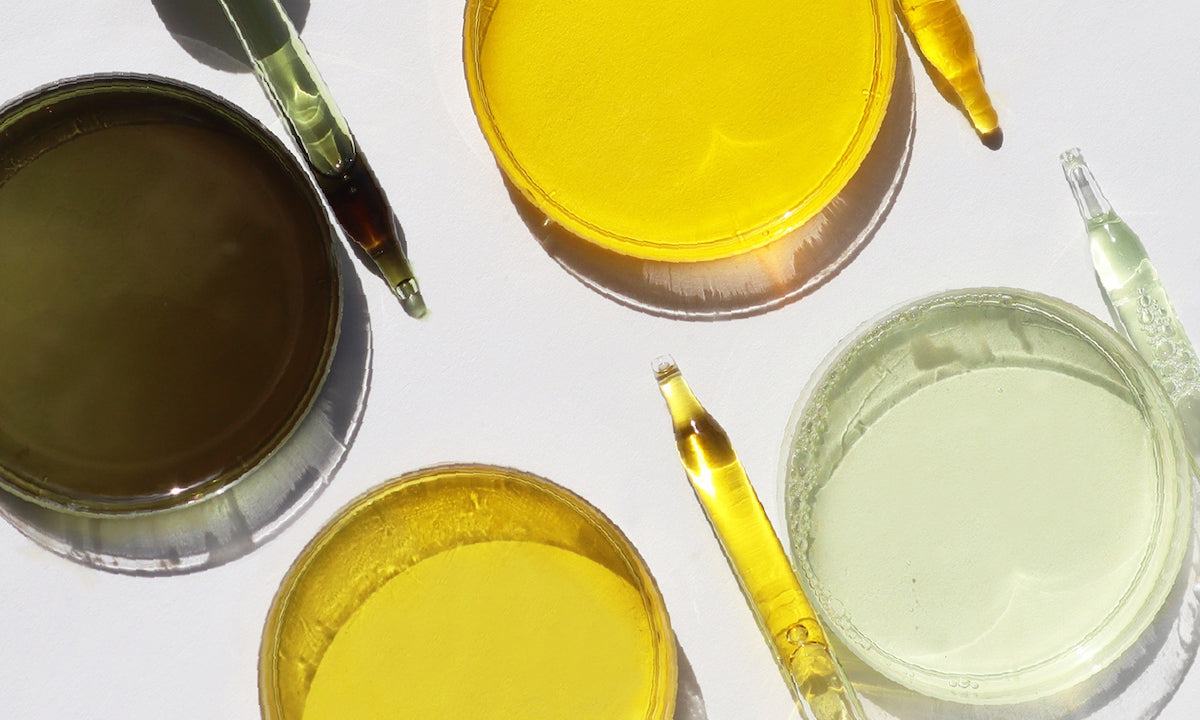 Top 4 Most-Loved Essential Oils & Who They're For