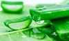 Aloe vera plant extract for skincare and acne 