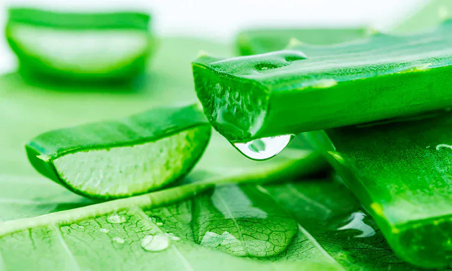 Humectants Skin Benefits (The Multi Secret Ingredient)