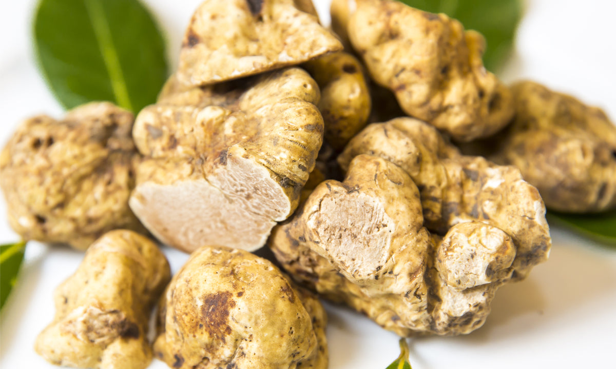 Top 5 White Truffle Benefits for Skin